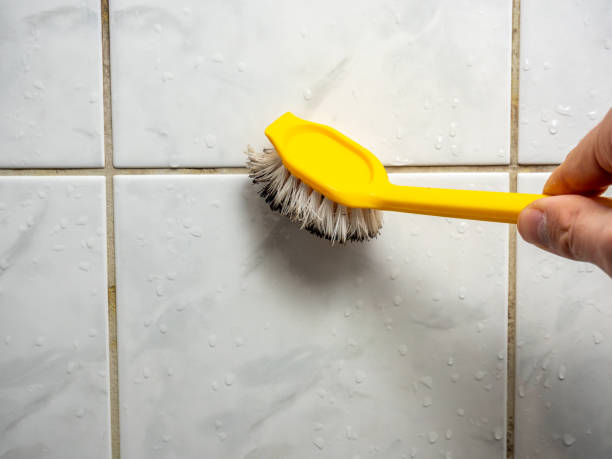 Best Same-Day Mold Removal  in Cohasset, MN