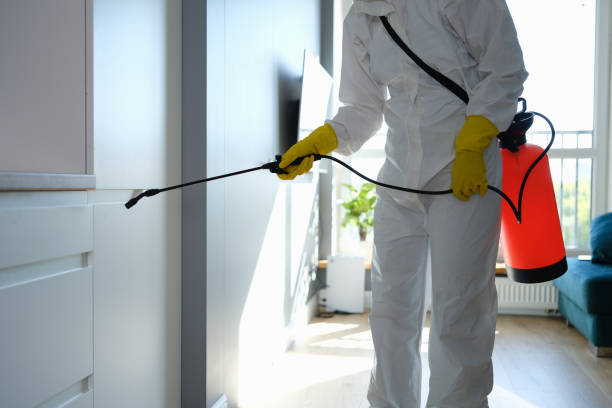 Best Mold Damage Repair  in Cohasset, MN