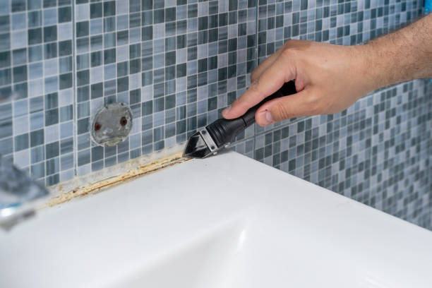 Best Toxic Mold Removal  in Cohasset, MN