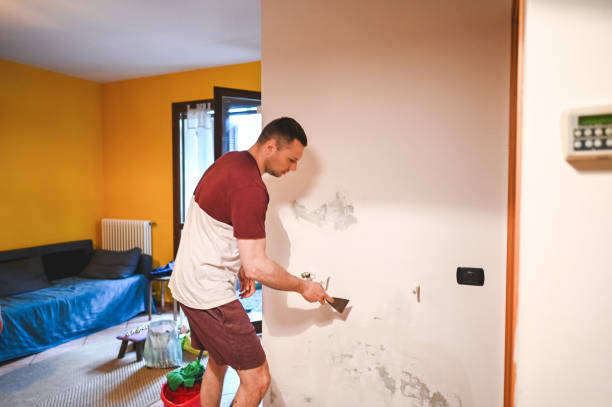 Mold Testing and Removal in Cohasset, MN